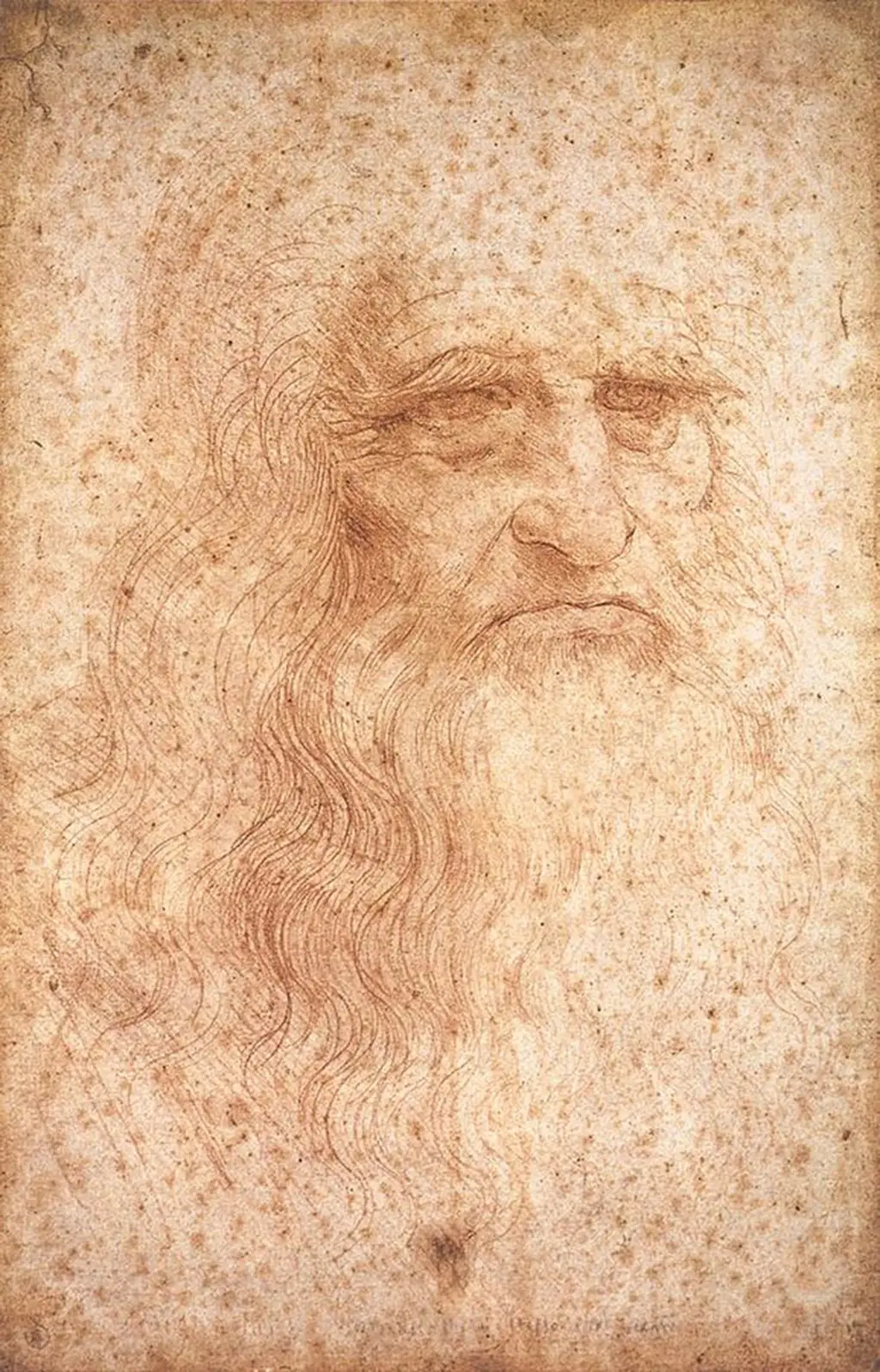 Portrait of a Man in Red Chalk (Self Portrait) in Detail Leonardo da Vinci